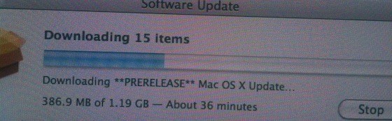 Бета-тестер поневоле или некоторым уже доступно обновление Mac OS X 10.6.3