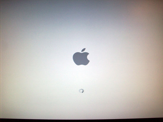 Загрузка с DVD Mac OS X 10.5.4 Leopard Retail