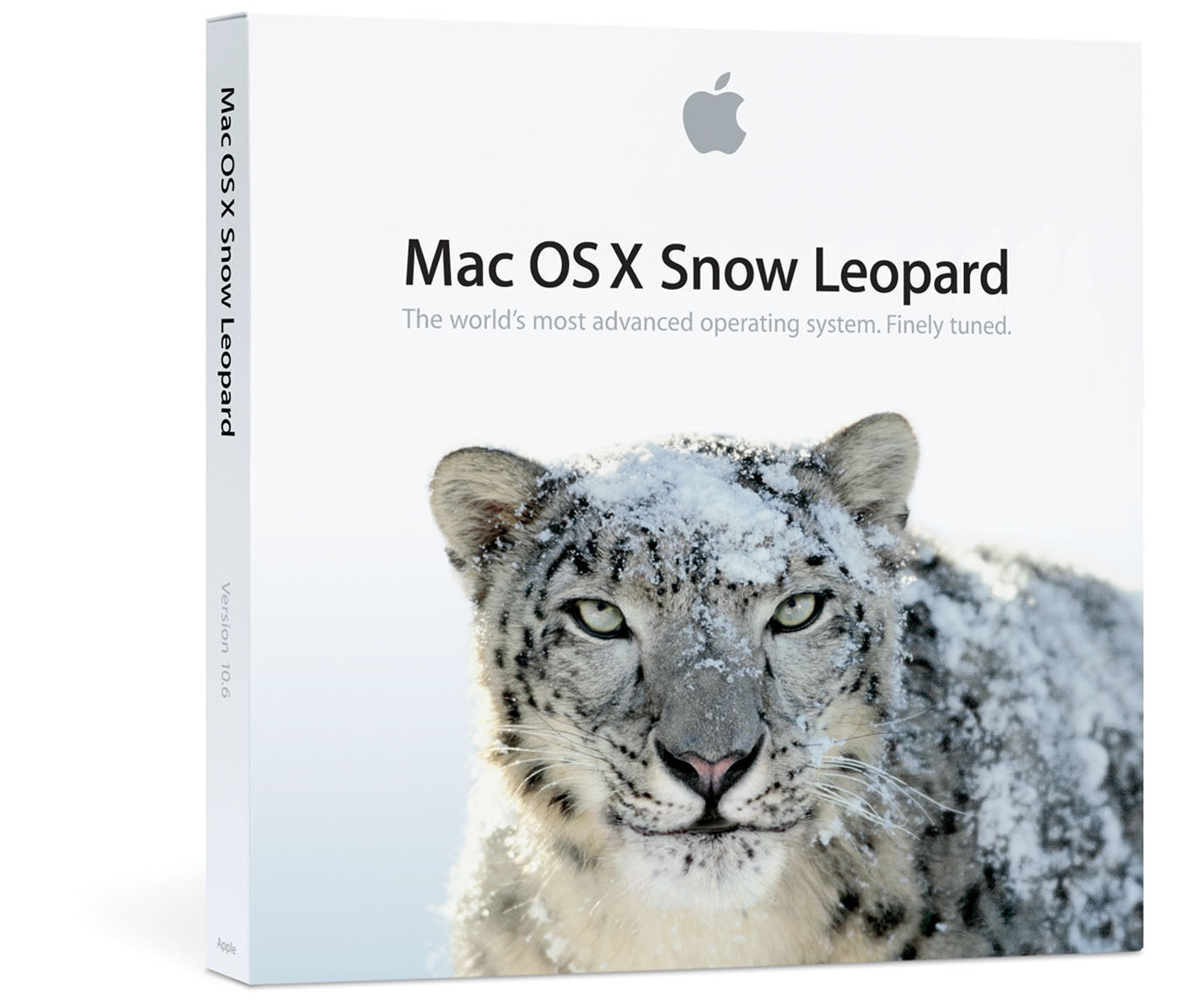 EFiX v1.1: Переход на Snow Leopard Retail